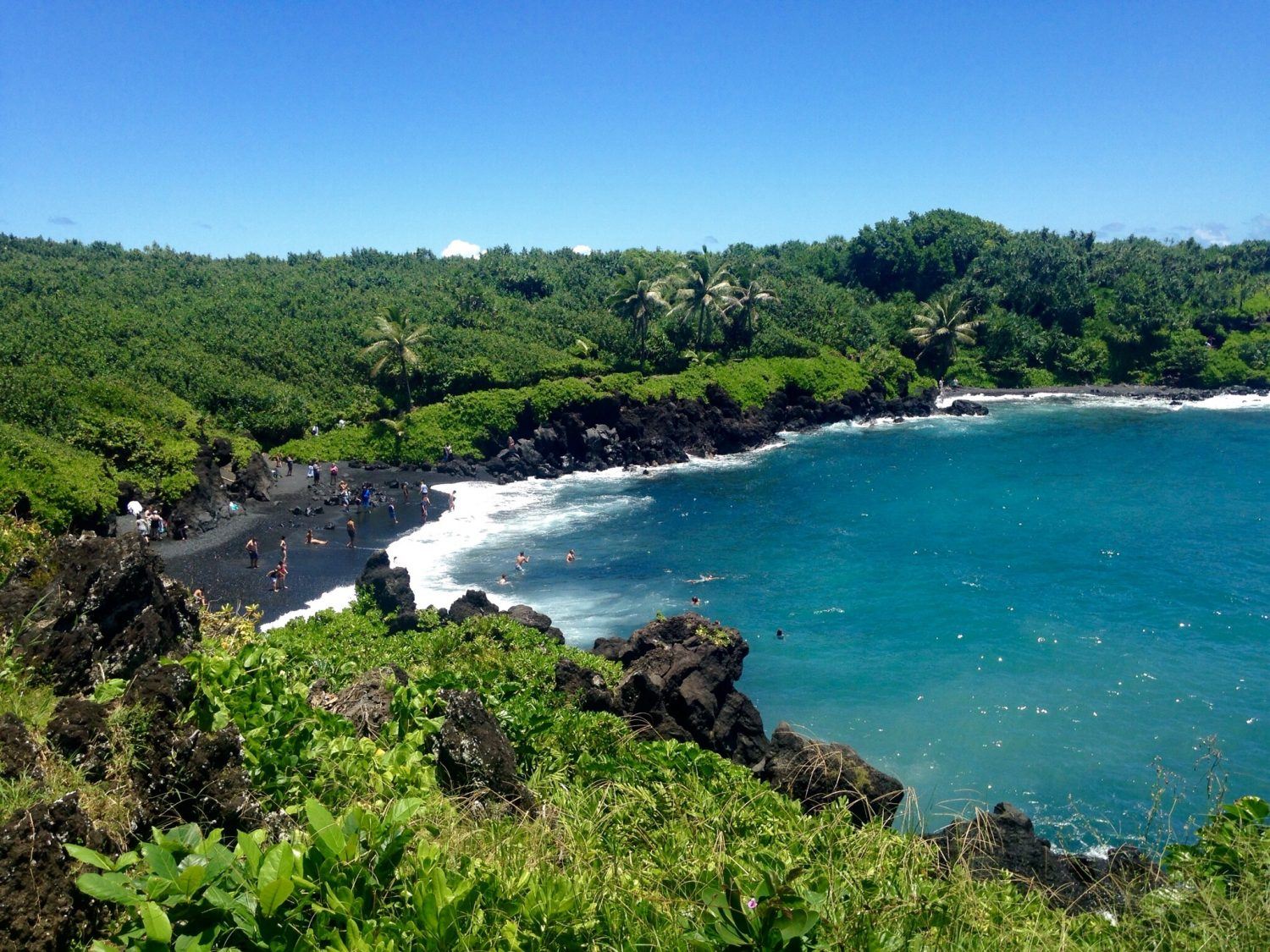 Earth Day in Maui