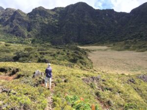 a person standing on a lush green hillside