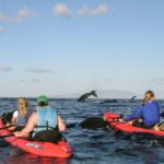 a group of people riding on the back of a boat in the water