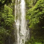 a large waterfall in a forest