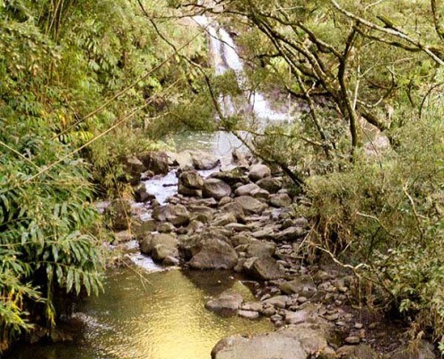 Hiking on Maui