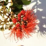 a vase of flowers on a tree