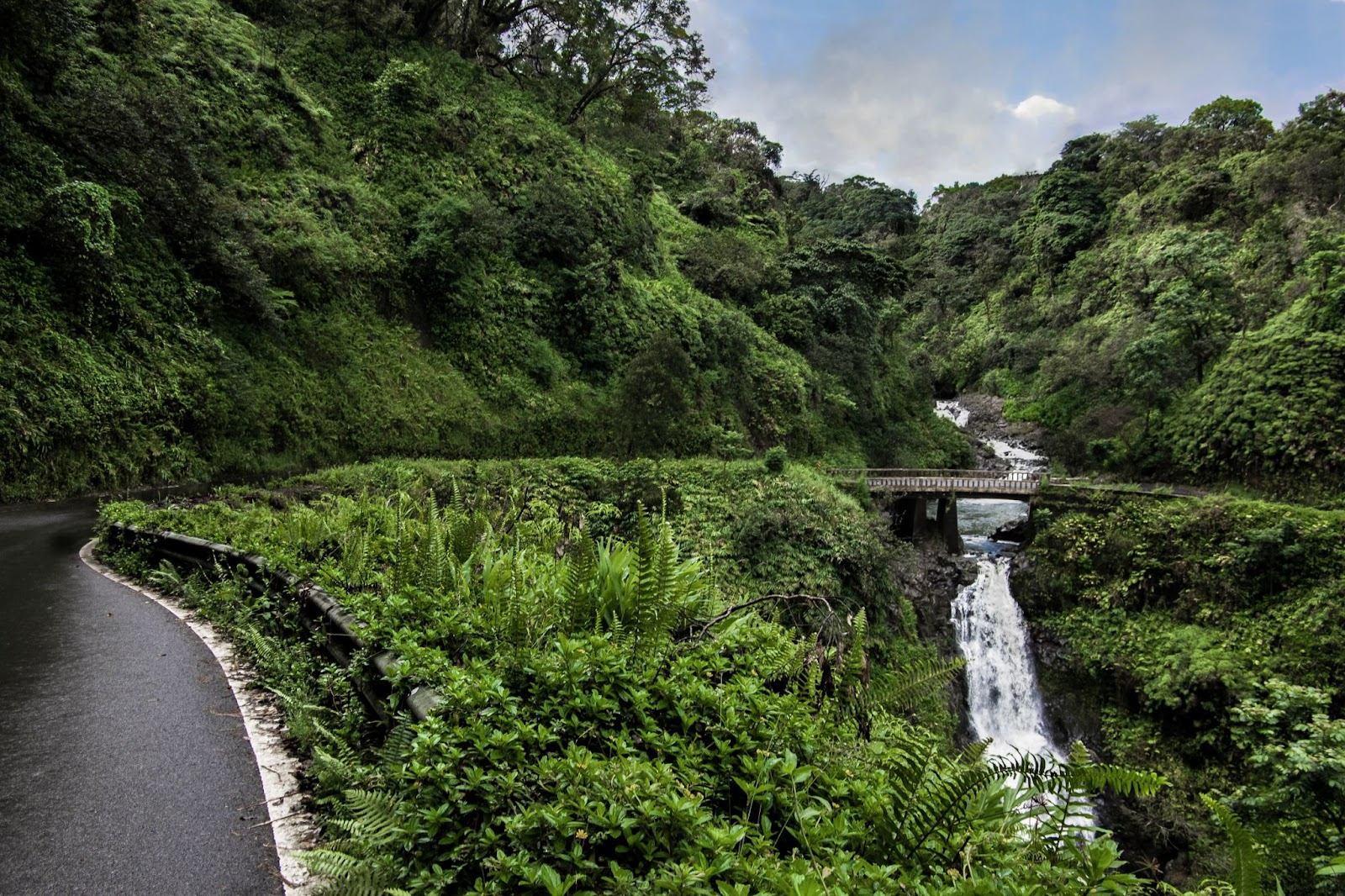 a path with trees on the side of a river