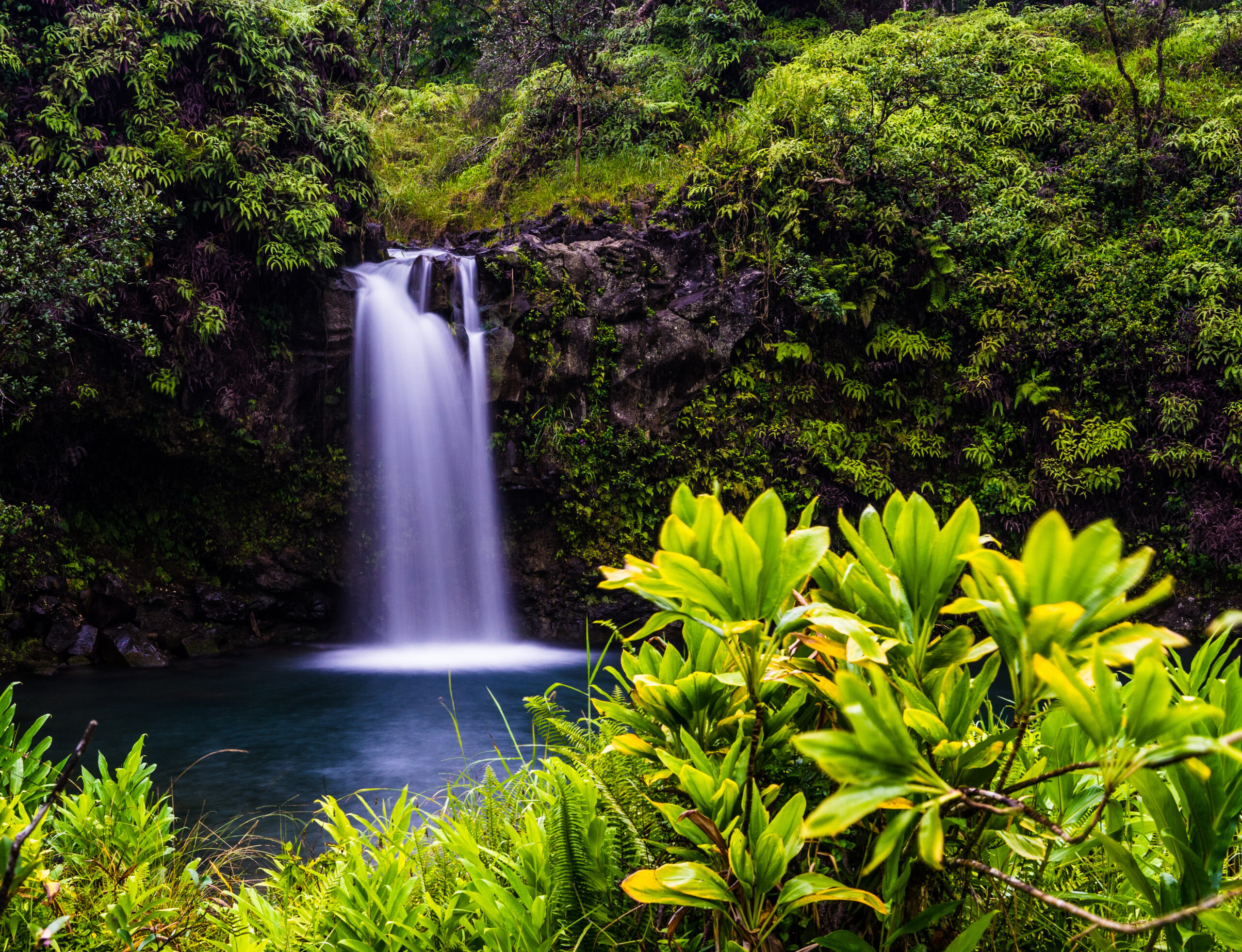 Top 5 Waterfalls on the Road to Hana