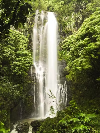 a large waterfall in a forest