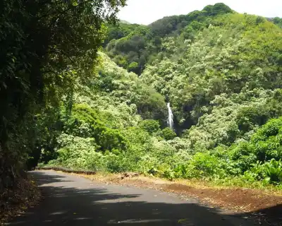 Hana-Road-with-waterfall-in-distance-tour-maui