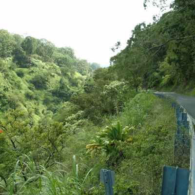 Rainforest-Valley-Road-tour-maui