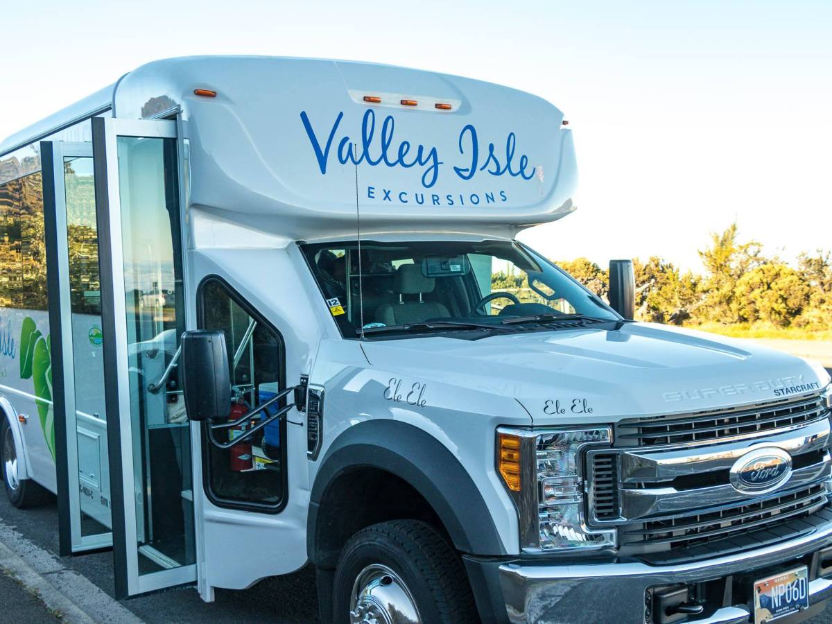 van-front-valley-isle-excursions