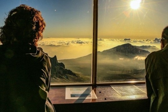 a person standing in front of a window